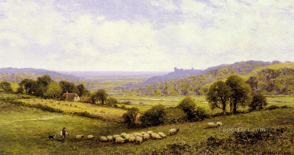 Near Amberley Sussex With Arundel Castle In The Distance Alfred Glendening sheep Oil Paintings